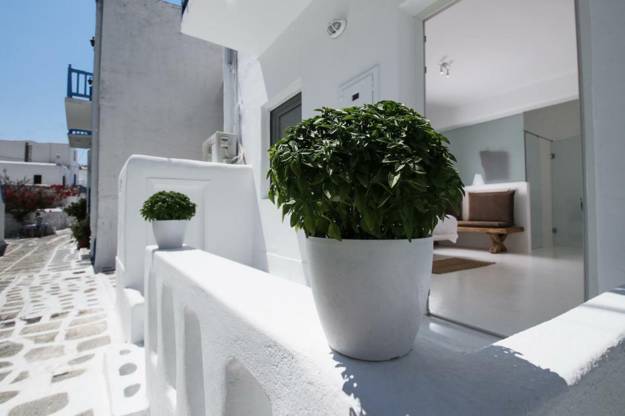 Arktos White Apartments Mykonos Town Exteriér fotografie